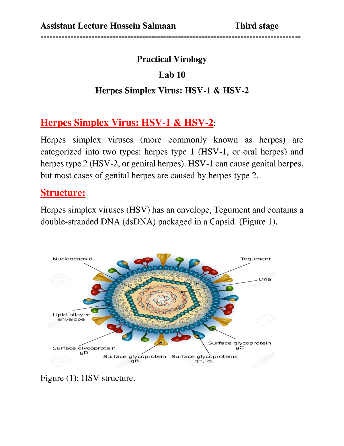 case study herpes simplex virus