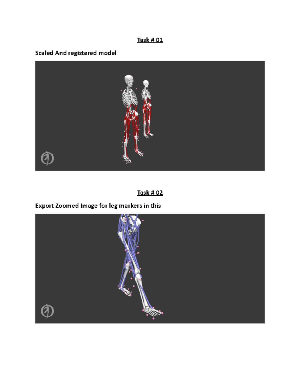 Laboratory Report Opensim - Task # 01 Scaled And registered model Task ...