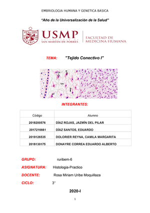 HISTOLOGÍA HUMANA 101221 - USMP - StuDocu