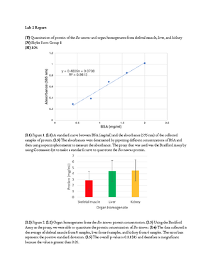 BIOL 113 Lab 10 Report - (T) GFP Gene Expression In PGLO Using Gel ...