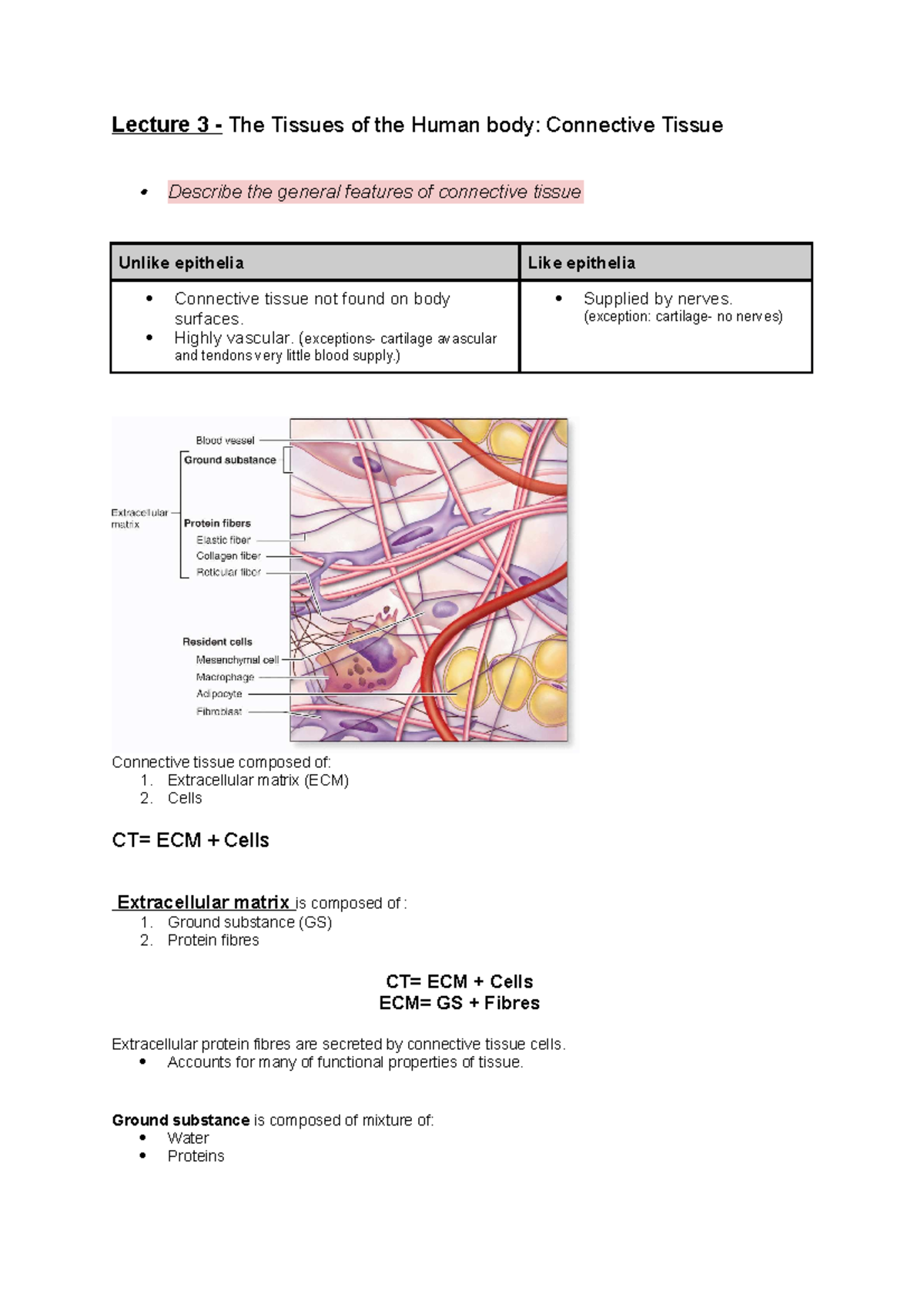 Lecture 3 - Lecture 3 - The Tissues of the Human body: Connective ...