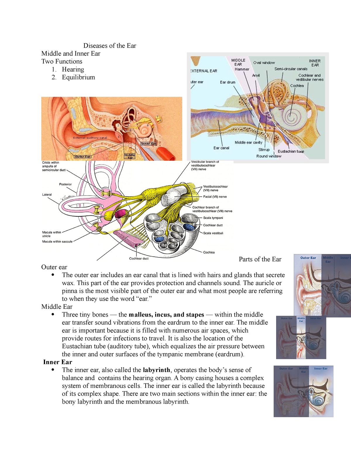 Diseases Of The Ear Lecture Notes Diseases Of The Ear Middle And
