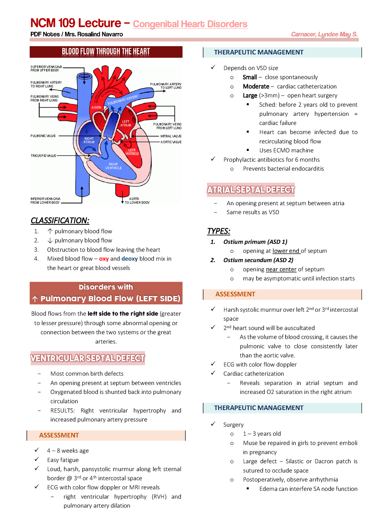 13 Congenital Heart Disorders Transes - Blood flow through the heart ...