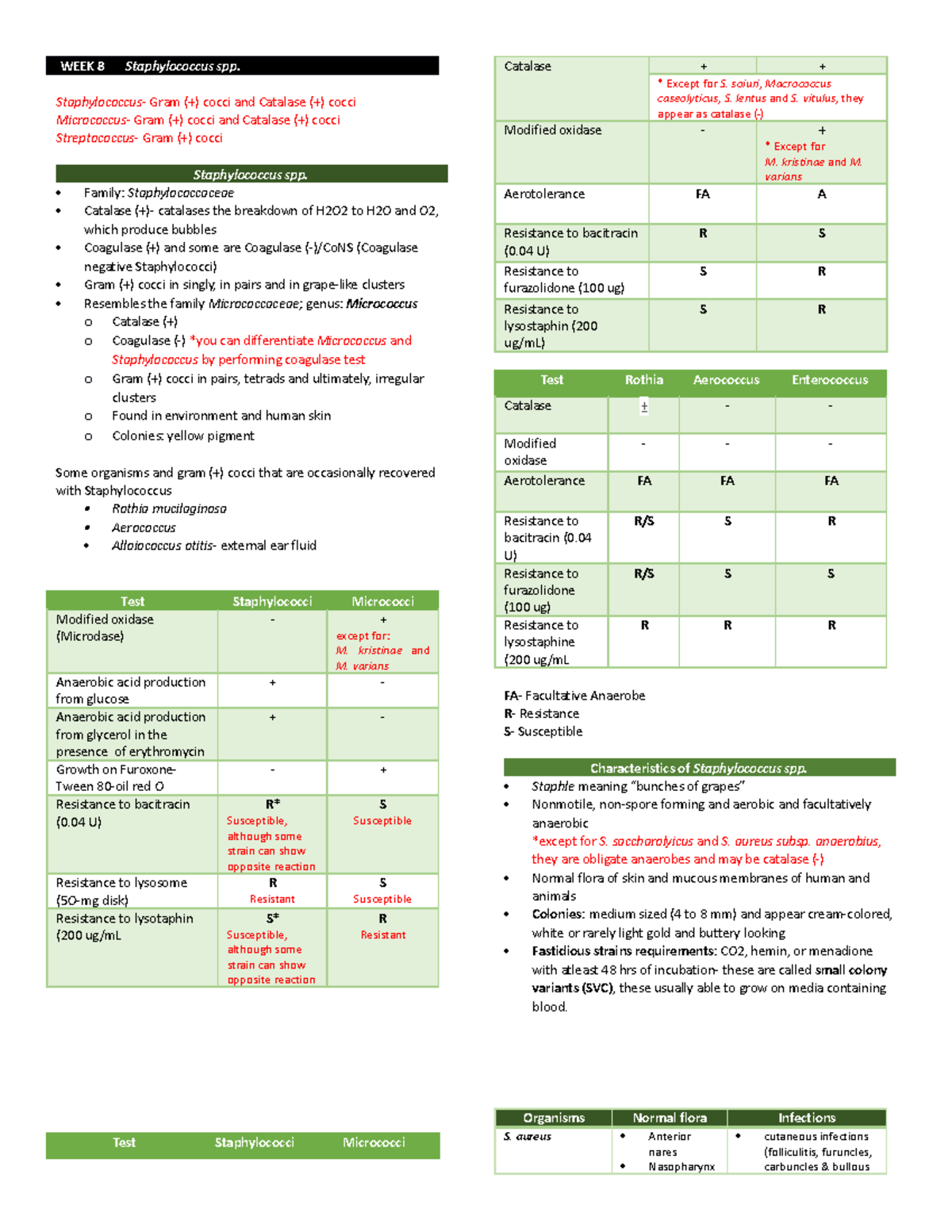 Finals bacte - WEEK 8 Staphylococcus spp. Staphylococcus- Gram ...