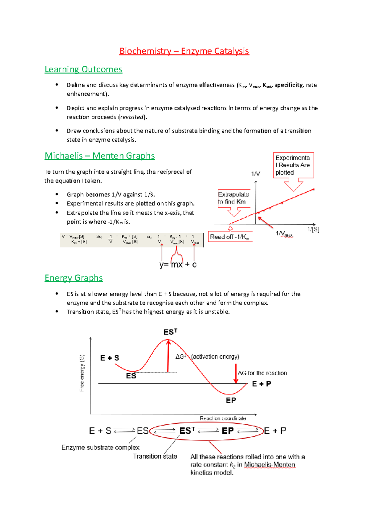 Biochemistry Enzyme Catalysis Summary Biochemistry Enzyme