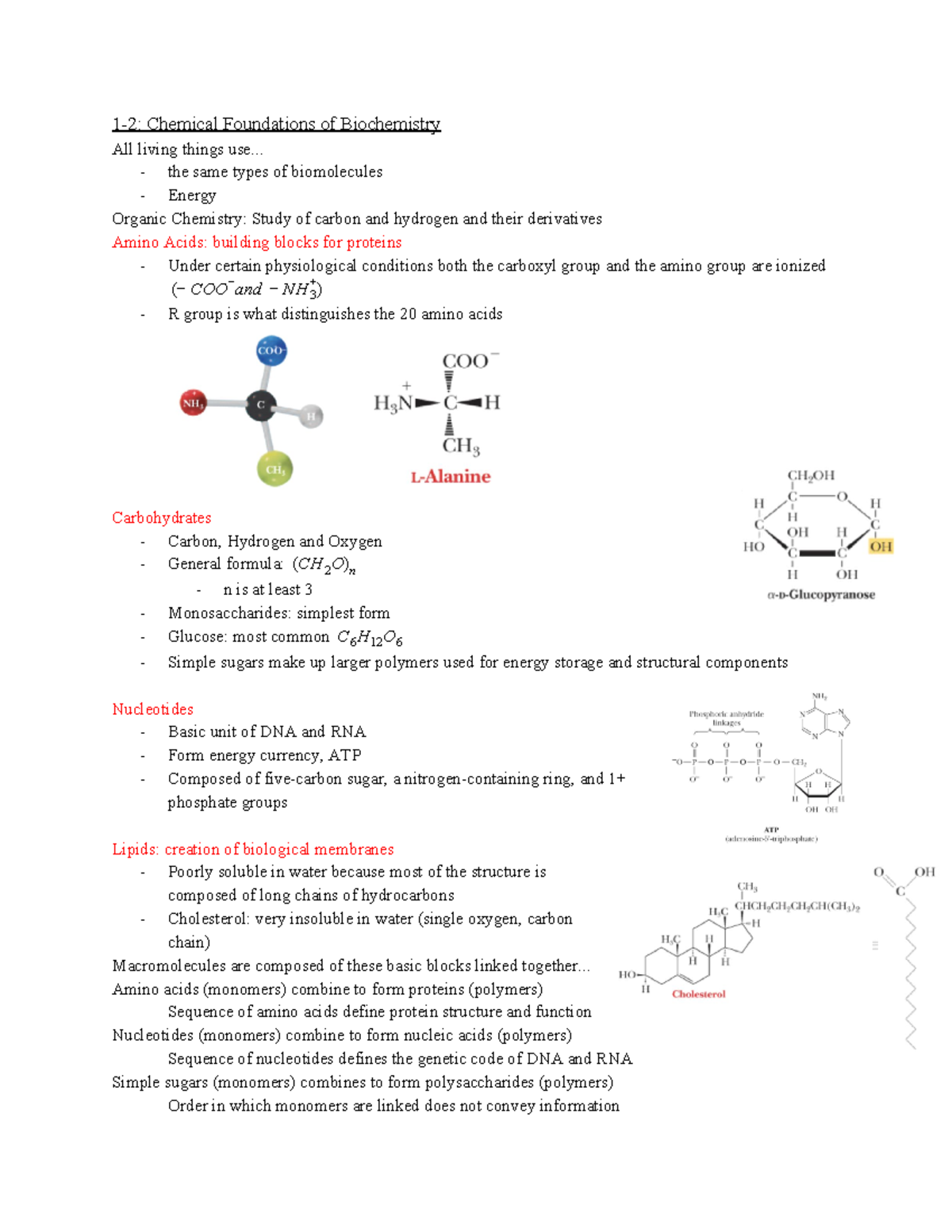 BMCB Chapter 1 - Intro To Biochemistry - 1-2: Chemical Foundations Of ...