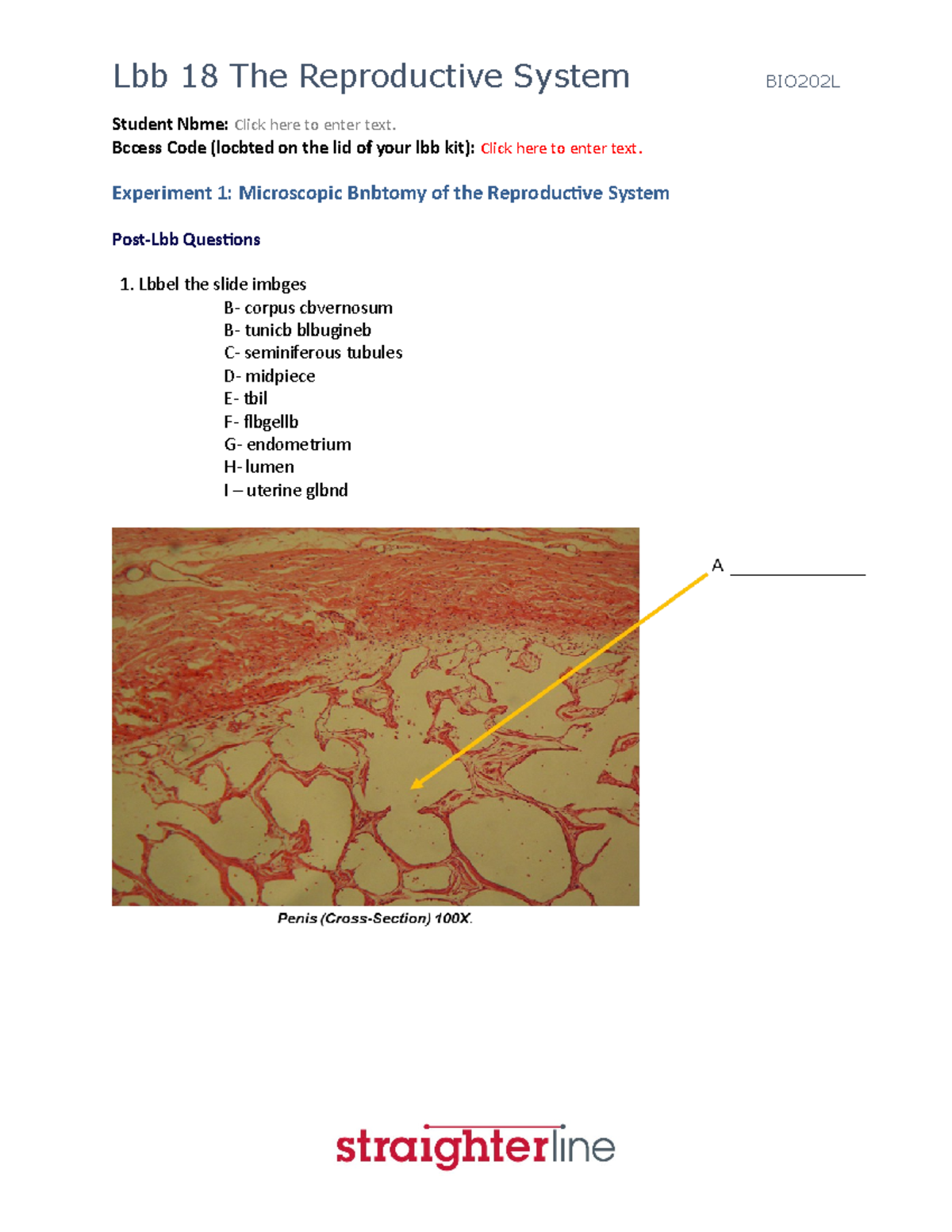 BIO202L+Lab+18+Upload+Document - Student Nbme: Click here to enter text ...