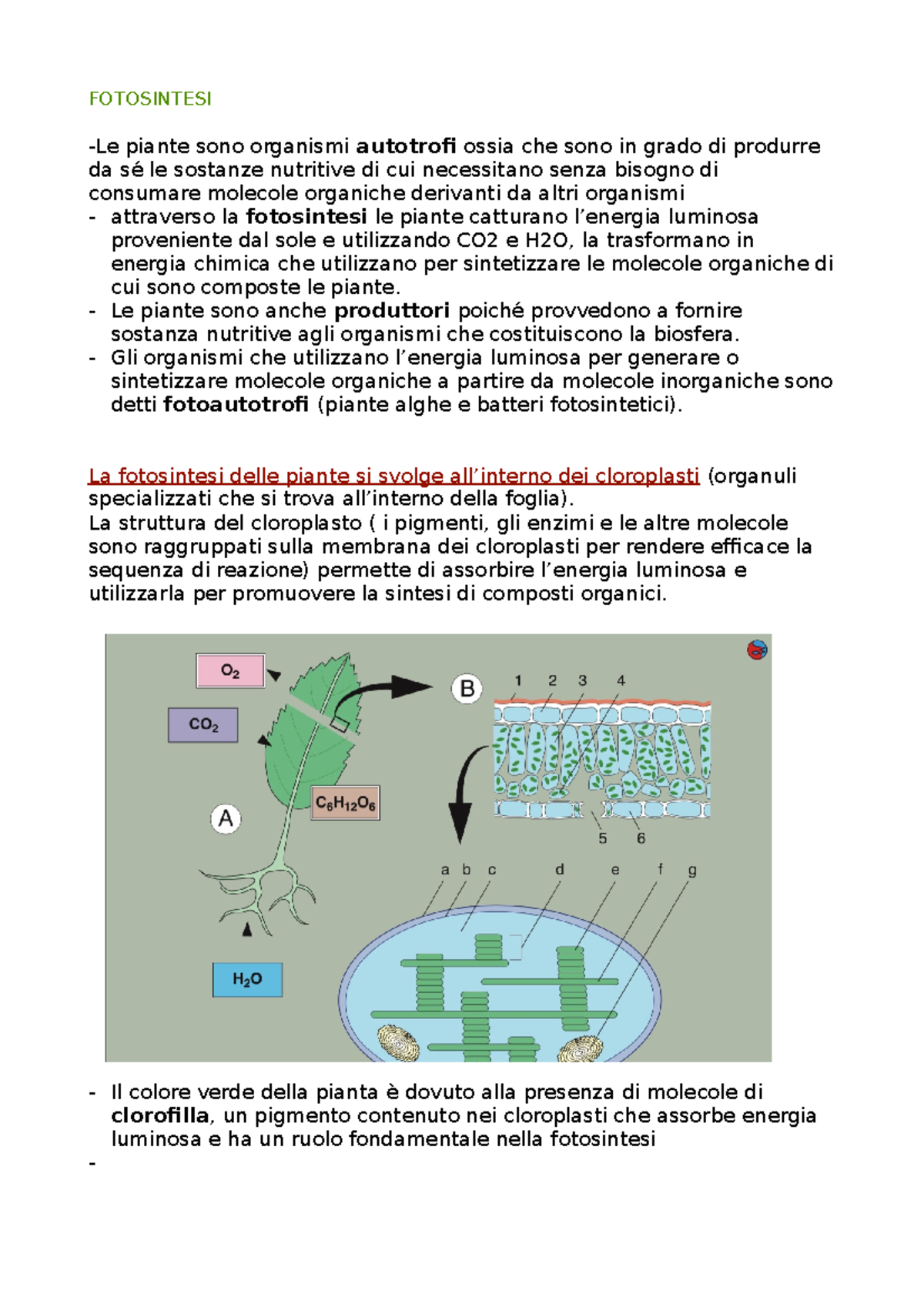 Appunti fotosintesi generale - FOTOSINTESI -Le piante sono organismi ...