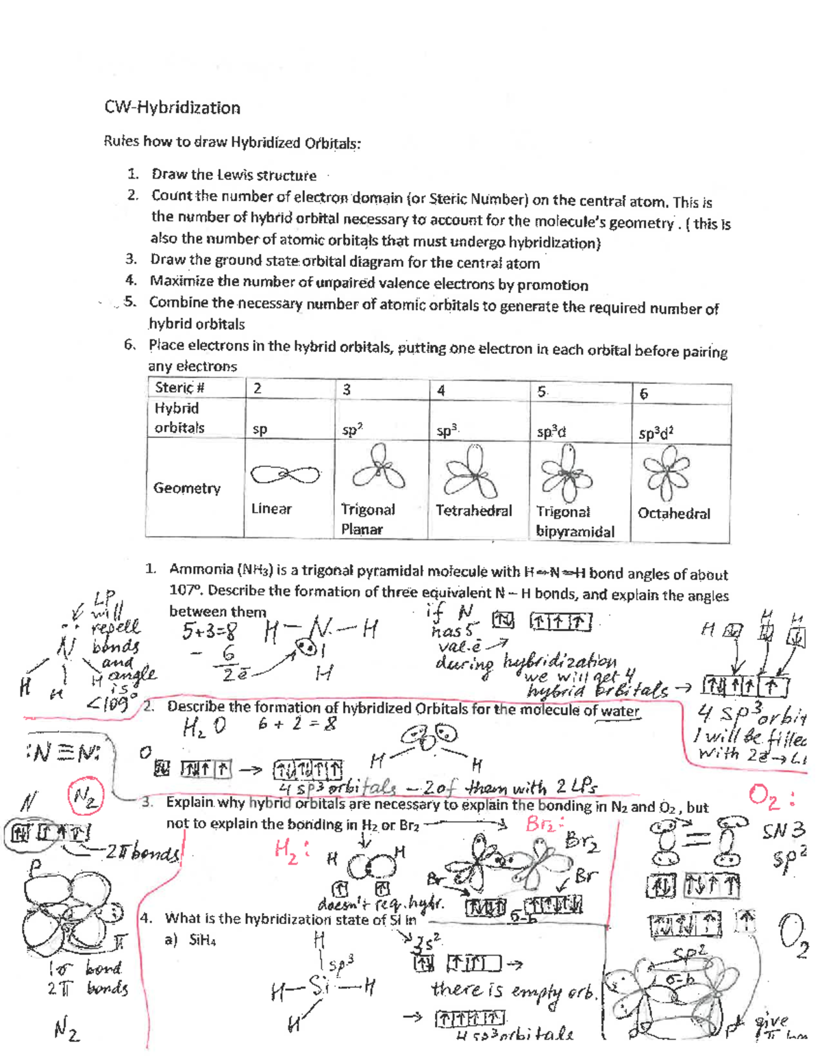 Hybridization Practice work from Prof. Z class CHEM203 Studocu
