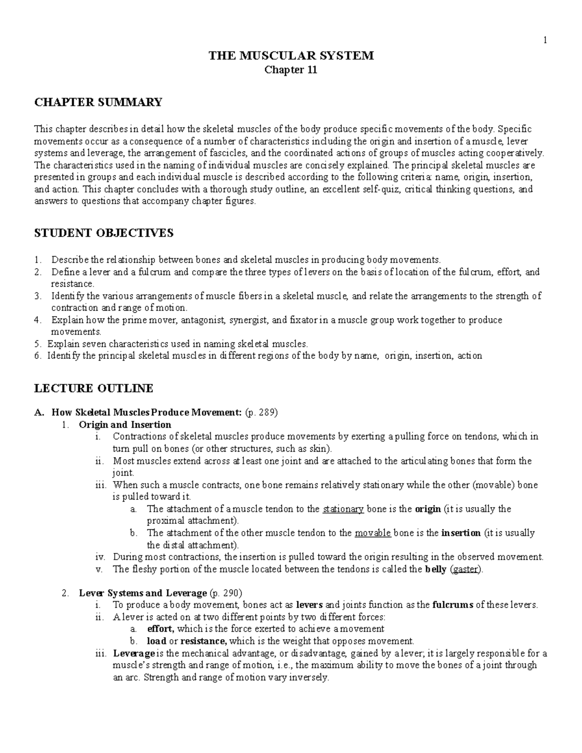 Muscular-System Anatomy - THE MUSCULAR SYSTEM Chapter 11 CHAPTER ...