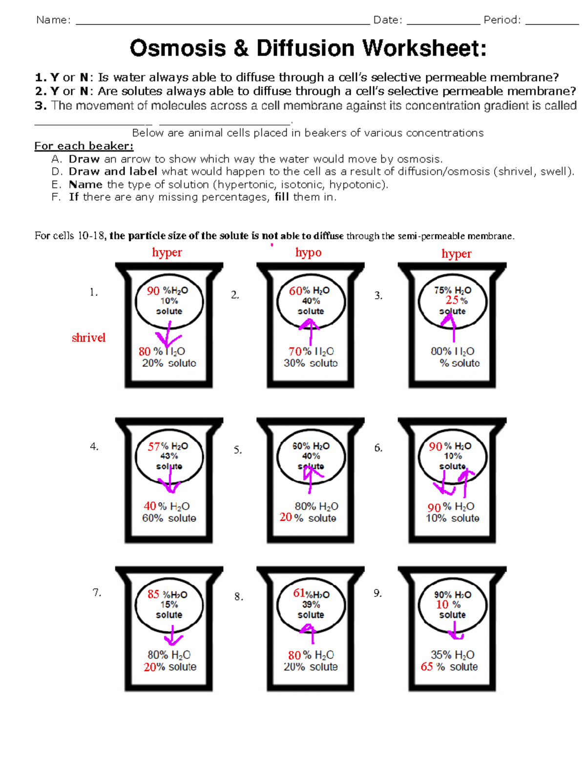 Osmosis And Diffusion Name 