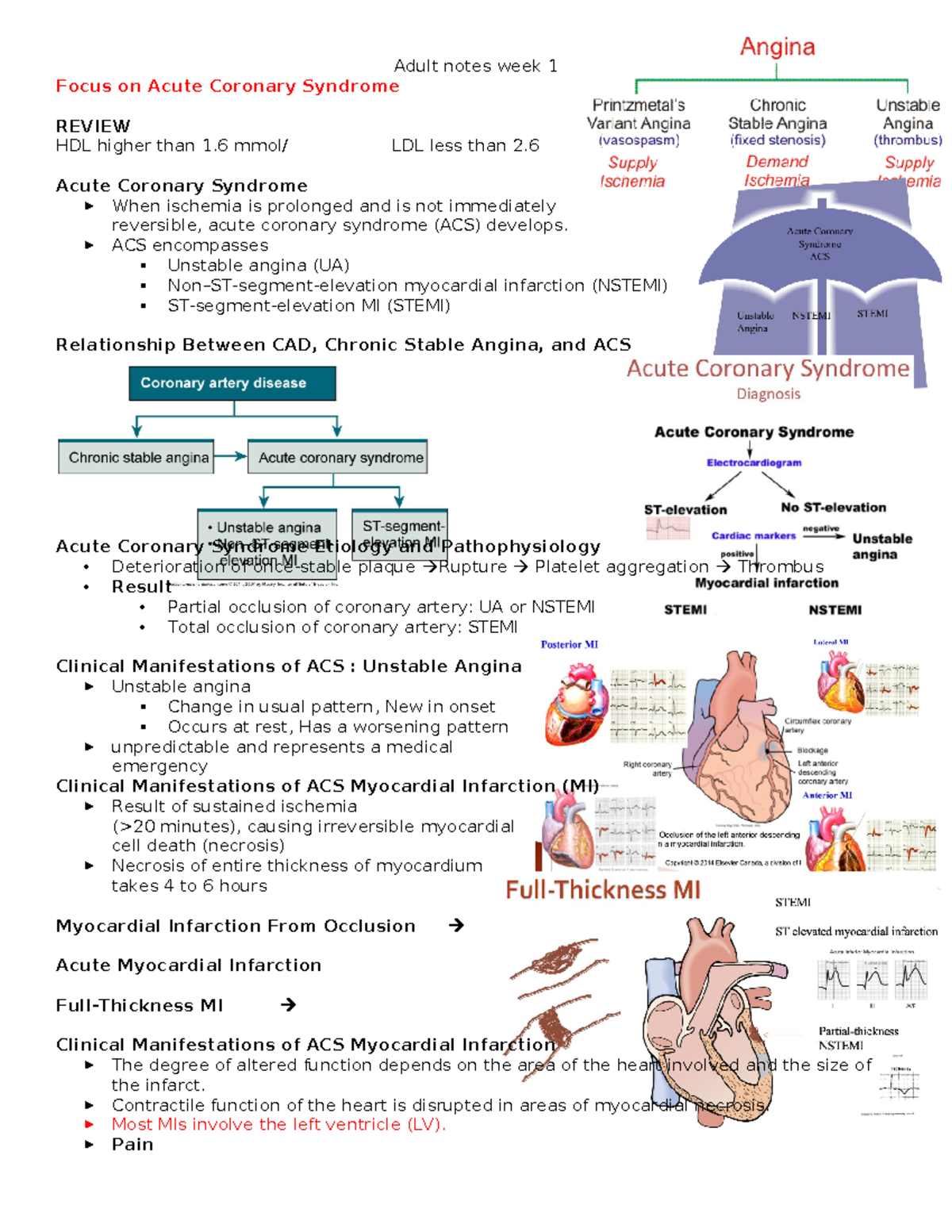 Week 1 CAD notes - Adult notes week 1 Focus on Acute Coronary Syndrome ...