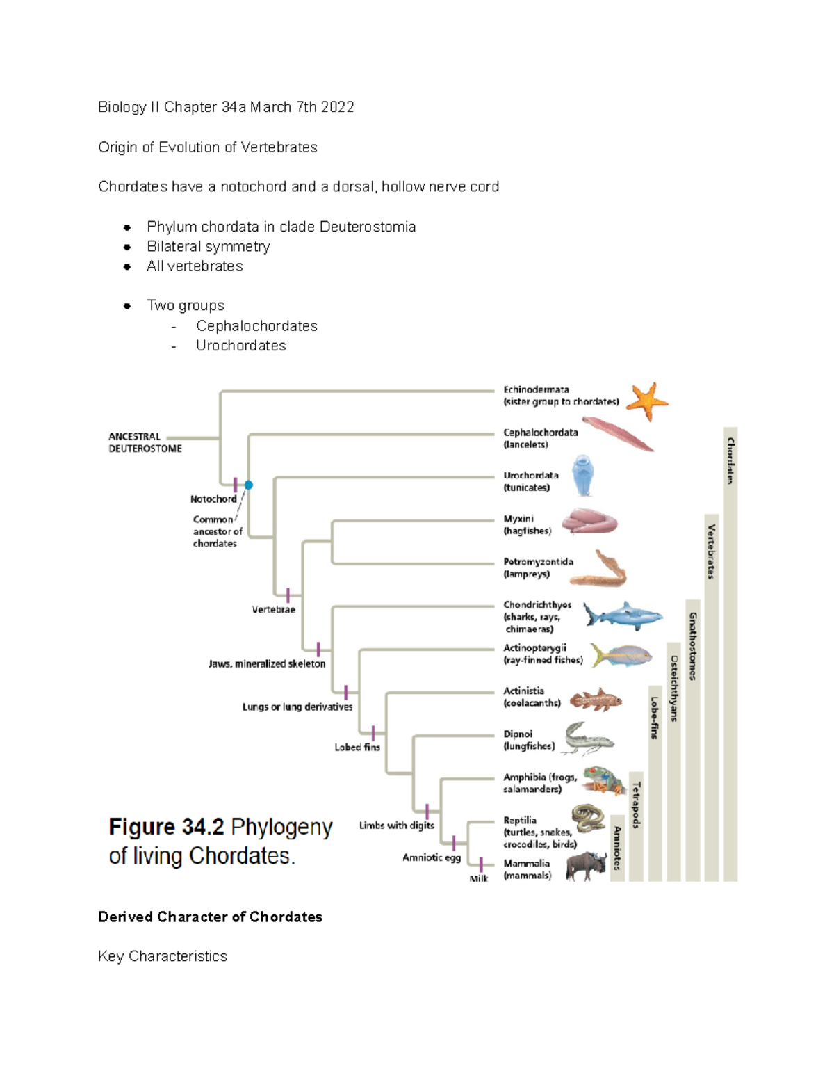 Biology Chapters 34-56 (Second Semester) - Biology II Chapter 34a March ...