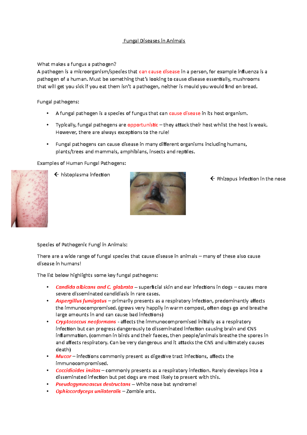 fungal-rash-on-skin