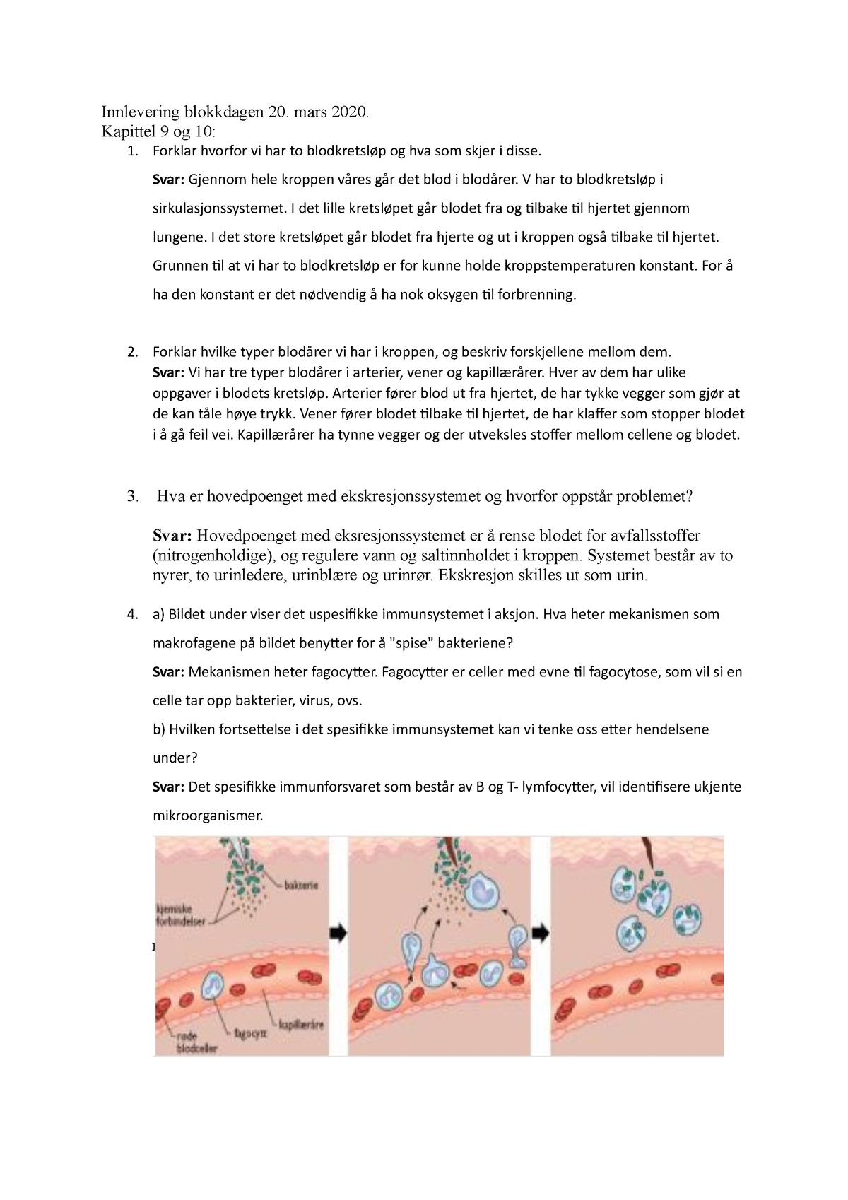 Kap. 9 Og 10 - Biologi øvelse - Innlevering Blokkdagen 20. Mars 2020 ...