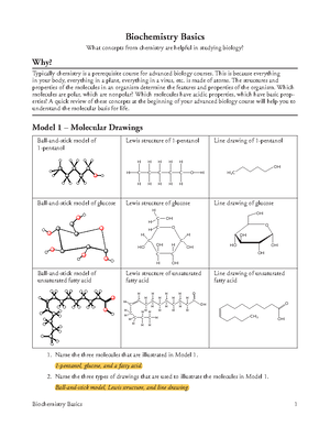 Biochemistry Basics KEY BBH - Biochemistry Basics 1 Biochemistry Basics What concepts from chemistry - Studocu Biochemistry Basics KEY BBH - Biochemistry Basics 1 Biochemistry Basics What concepts from chemistry - Studocu