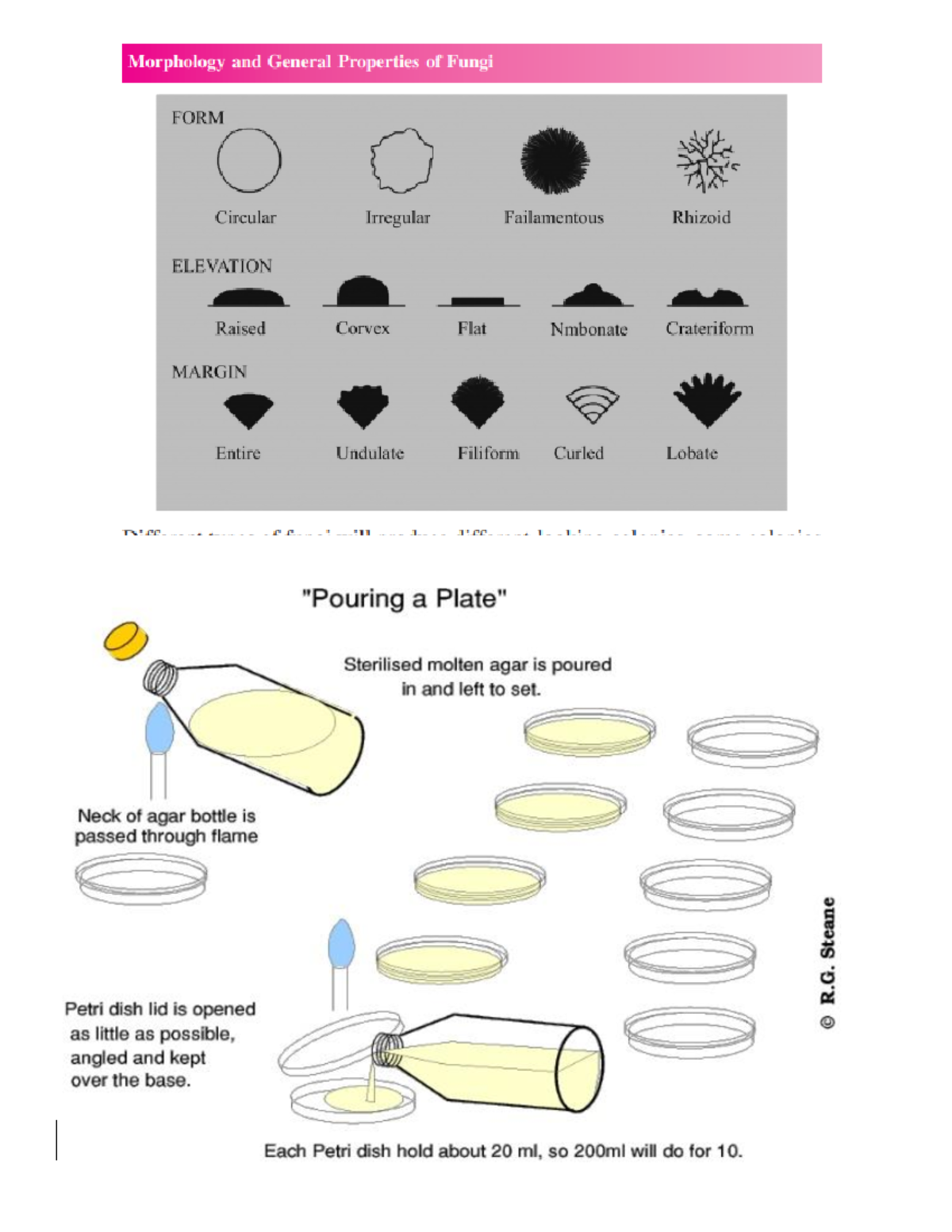 Microbiology LAB Pictures Advanced Microbiology Studocu