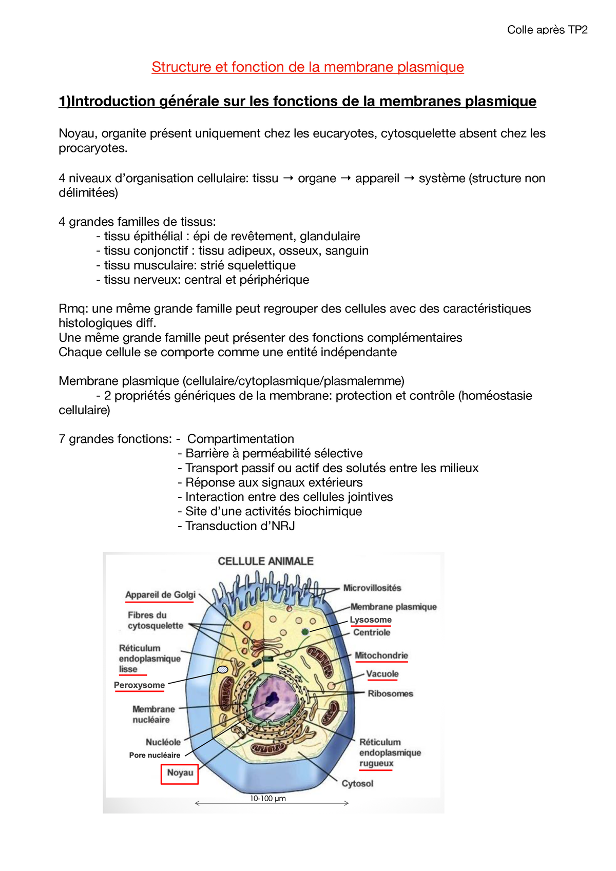 2021/09/15 Biologie Cellulaire Cours 1 "Structure Membrane" L1 SV ...