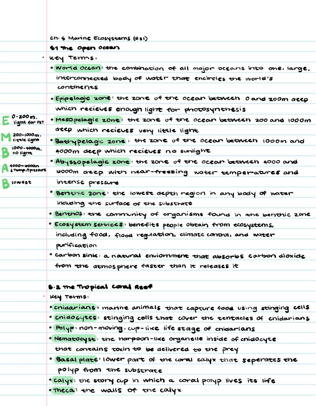 Ch 5 Vocab And Diagrams Studocu