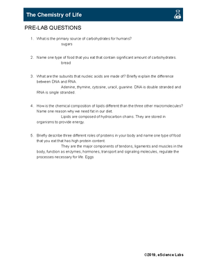 Biology Chapter 8 Notes - BIOLOGY CHAPTER 8: DNA REPLICATION, BINARY ...