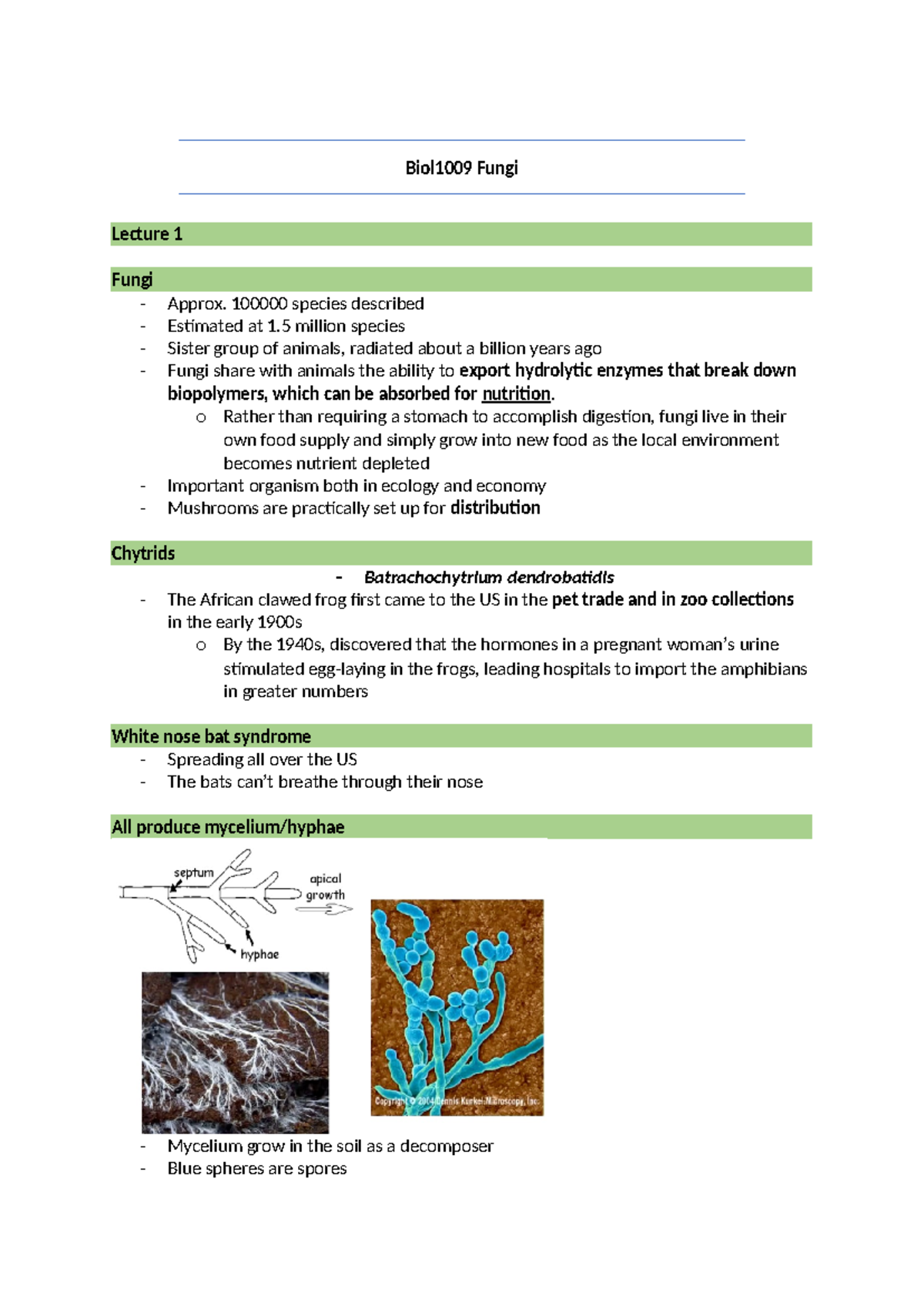 Biol1009 Fungi - Biol1009 Fungi Lecture 1 Fungi Approx. 100000 species ...