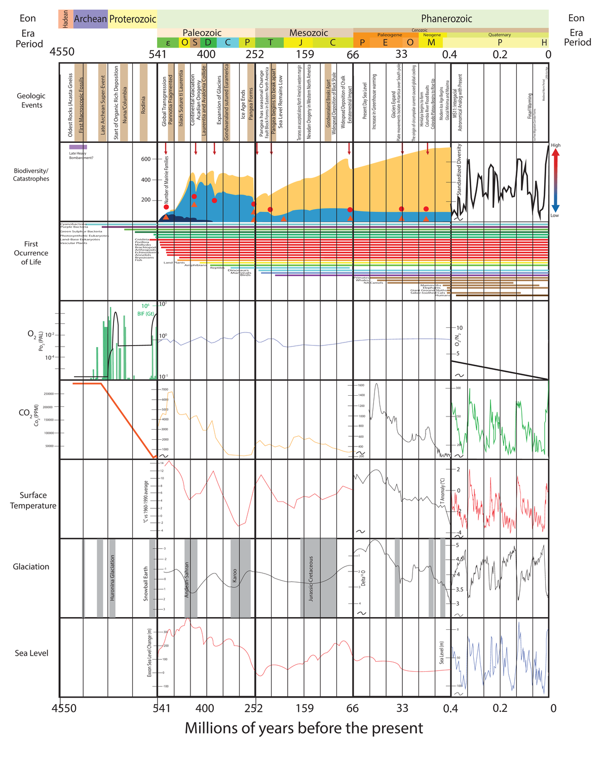 GEO 1100 Week 13 Assignment - Hadean Archean Proterozoic Phanerozoic ...