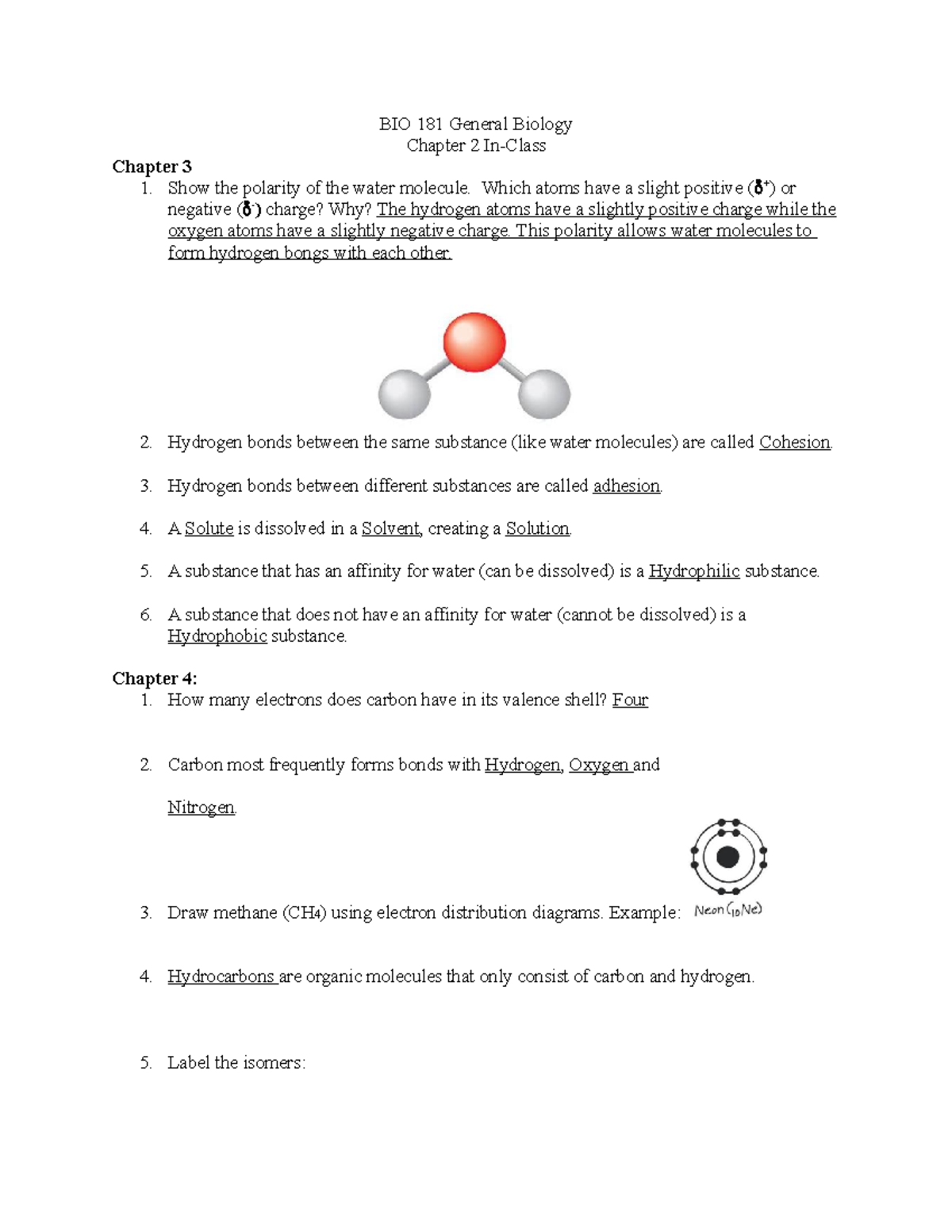 WEEK 2-HW Ch-3-4-5 - WEEK 2-HW Ch-3-4-5 - BIO 181 General Biology ...