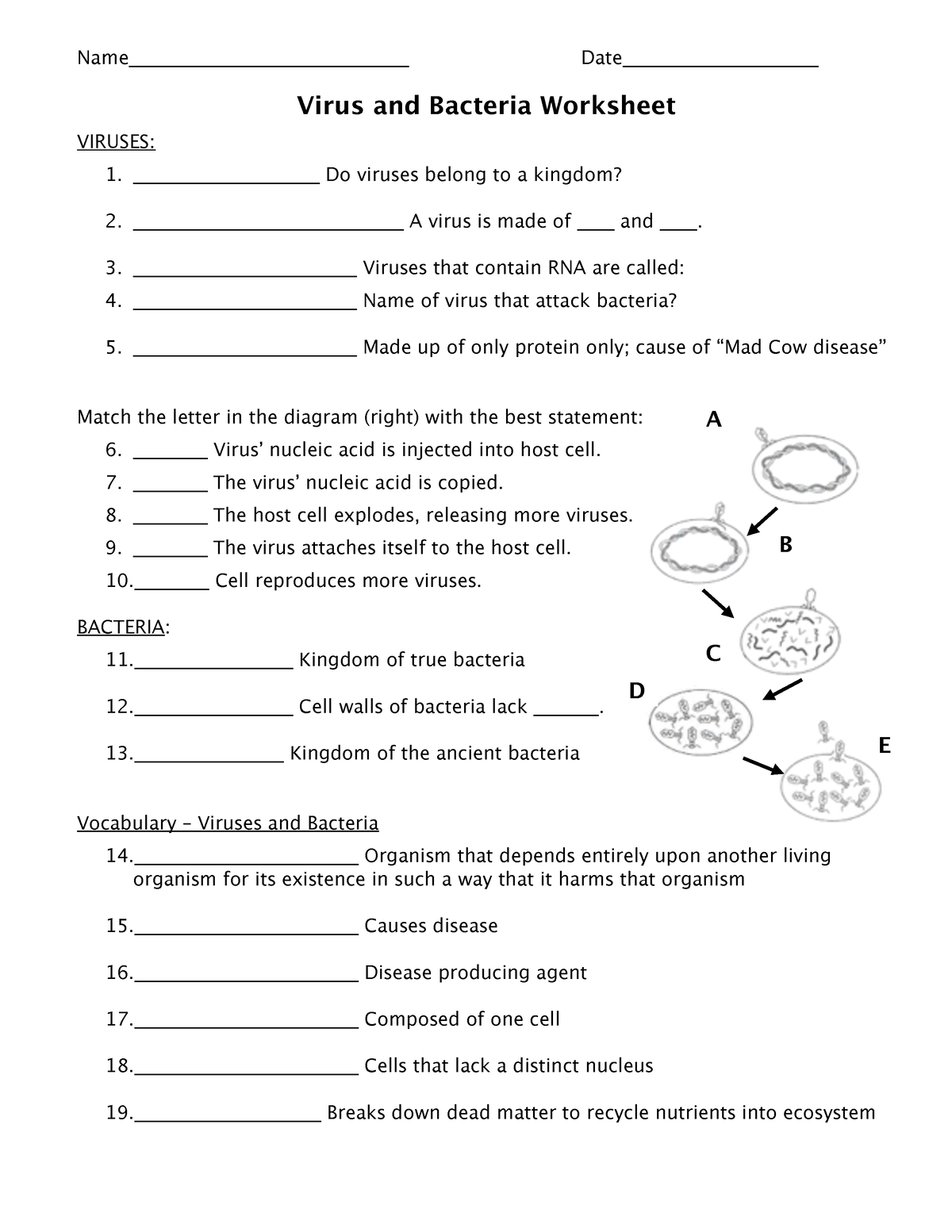 Worksheet Bacteria And Virus - Name______________________________ Date