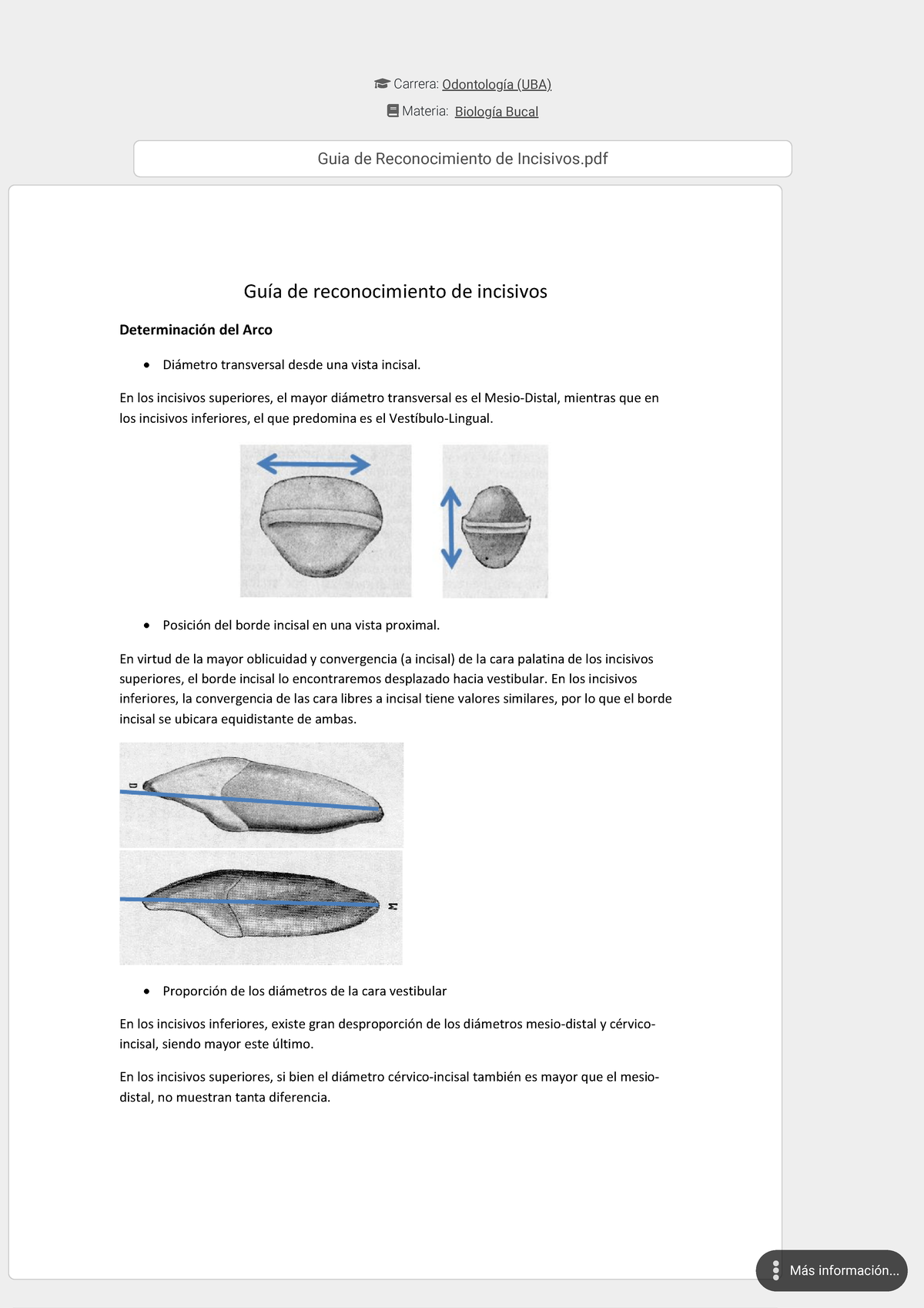 Apunte Guia De Reconocimiento De Incisivos Biología Bucal Odontología