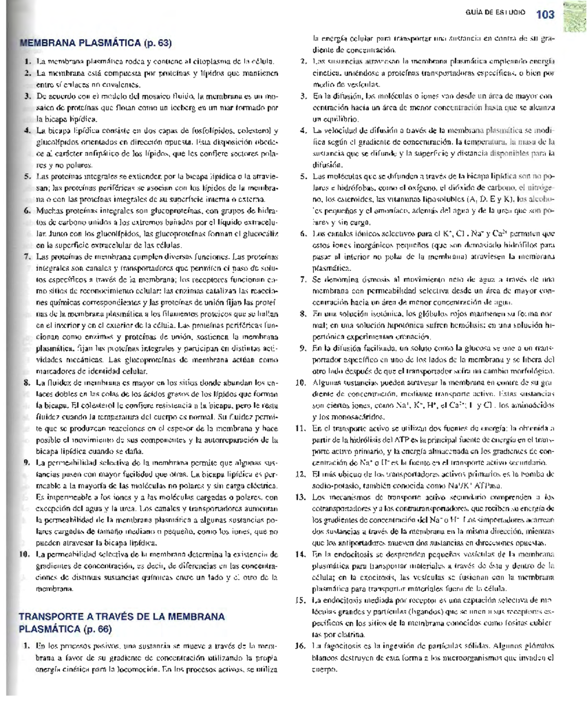 Tortora 11ed Anatomia Y Fisiologia Humana Ciencias Biologicas1 Studocu