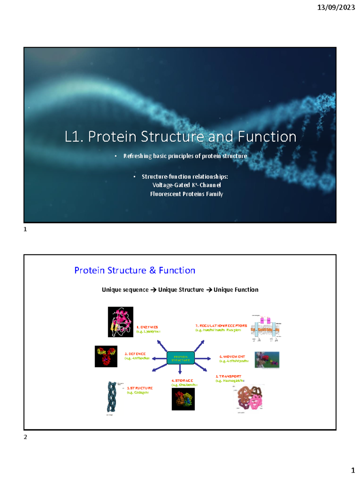 L0+Intro+23 2 - Notes - L1. Protein Structure and Function • Refreshing ...