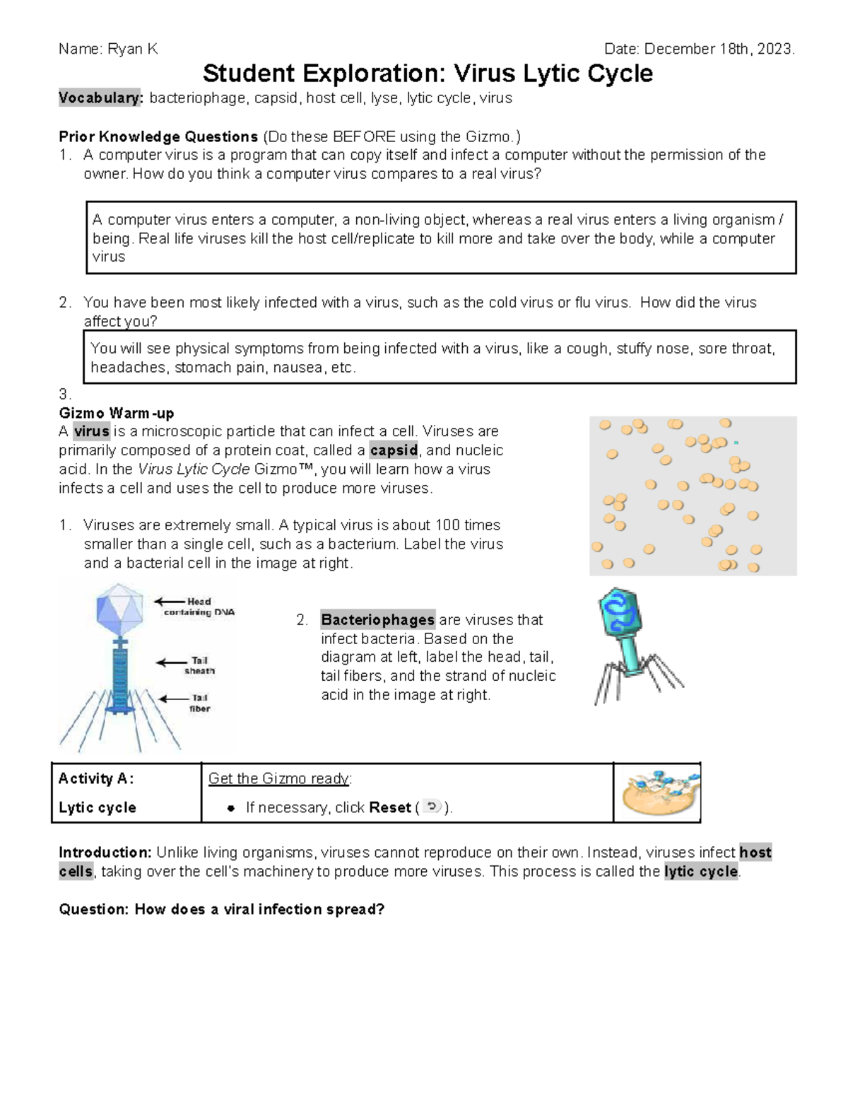 Ryan Koebel - Gizmo Virus Lytic Cycle 2022 Student handout - Name: Ryan ...