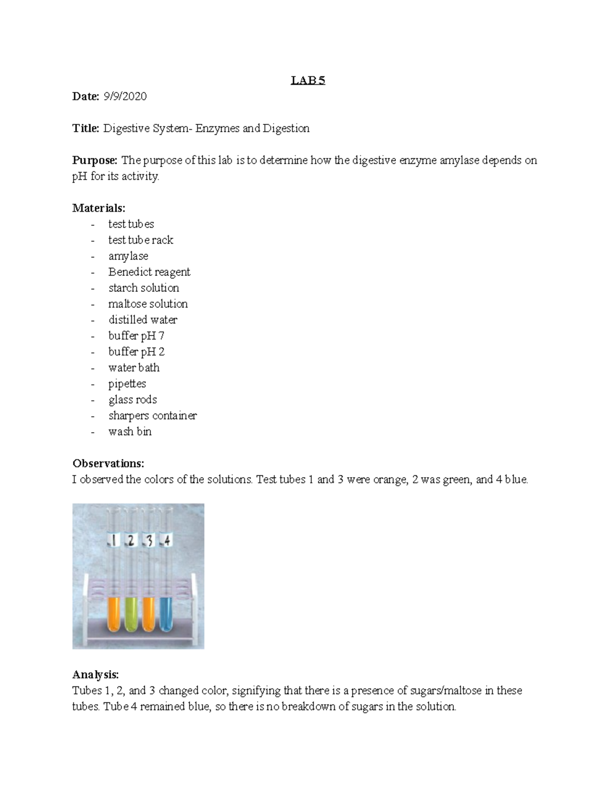 Digestive Enzymes and Digestion LAB 5 Date 9/9/ Title Digestive
