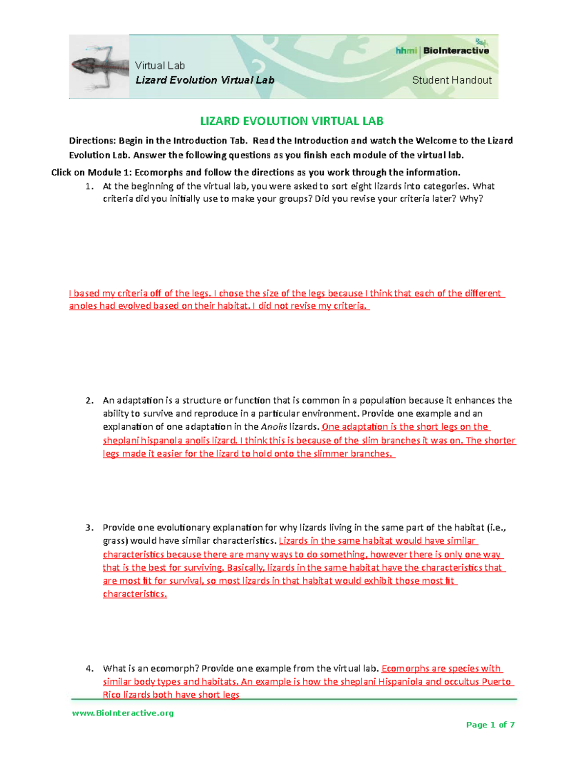 Lizard Evolution Virtual Lab Student Worksheet 1 1 Student Handout 