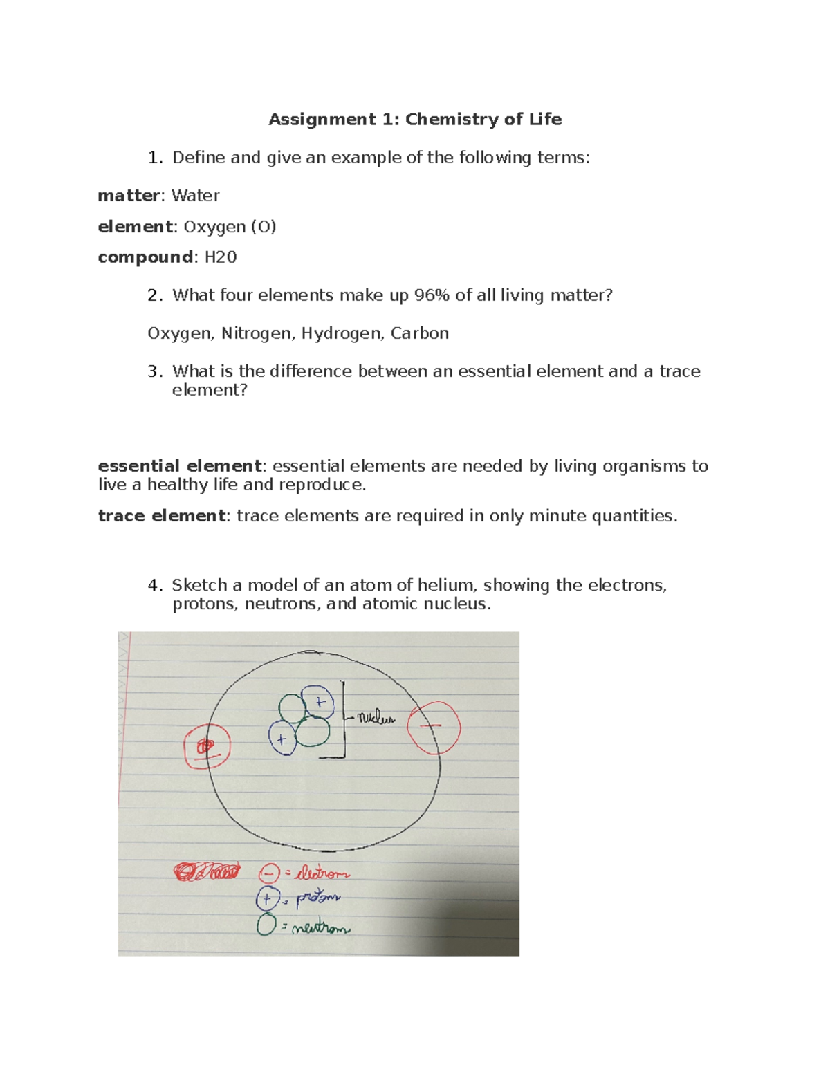 chemistry of life assignment