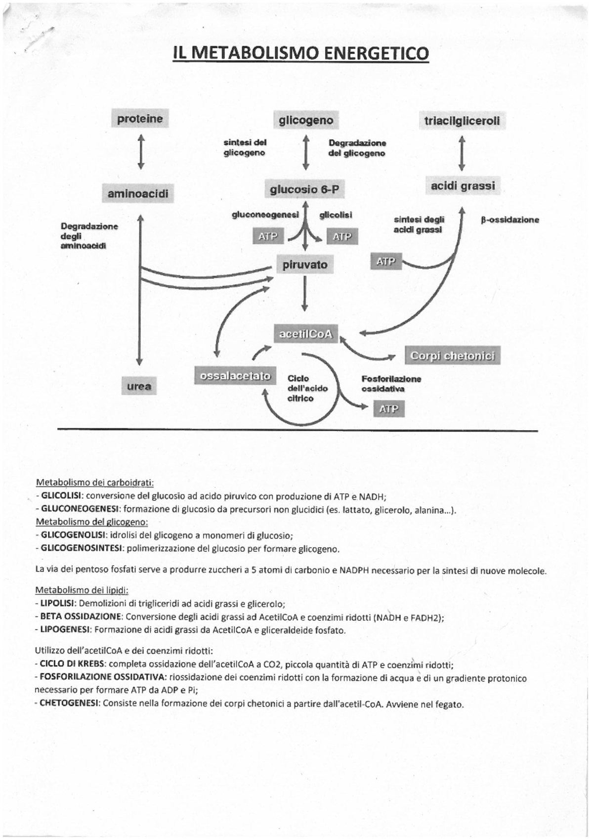 Biochimica-biologia-anziani - Biochimica - Studocu