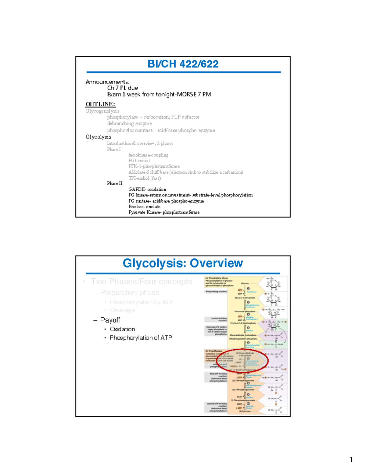 7 Glycolysis yippee kay yay im getting my homework todayyay BI/CH