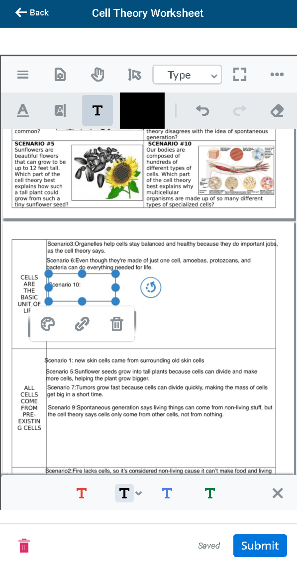 Cell Theory Worksheet Schoology - Saved Submit Type Back Cell Theory ...