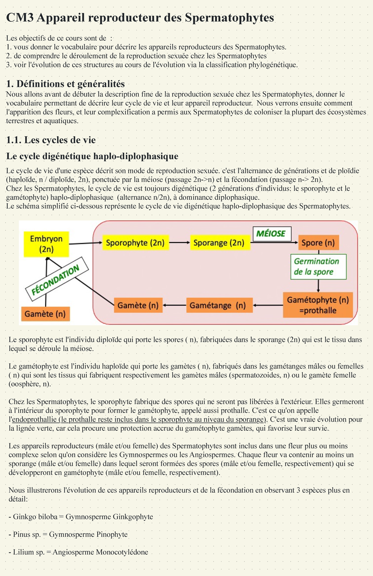 cm3-appareil-reproducteur-des-spermatophytes-de-comprendre-le
