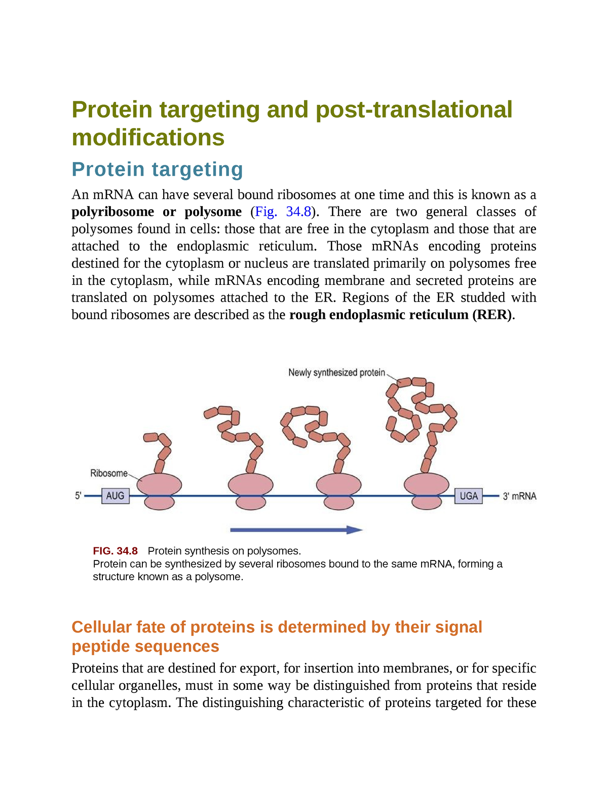 Biochemistry Important-221 - Protein Targeting And Post-translational ...