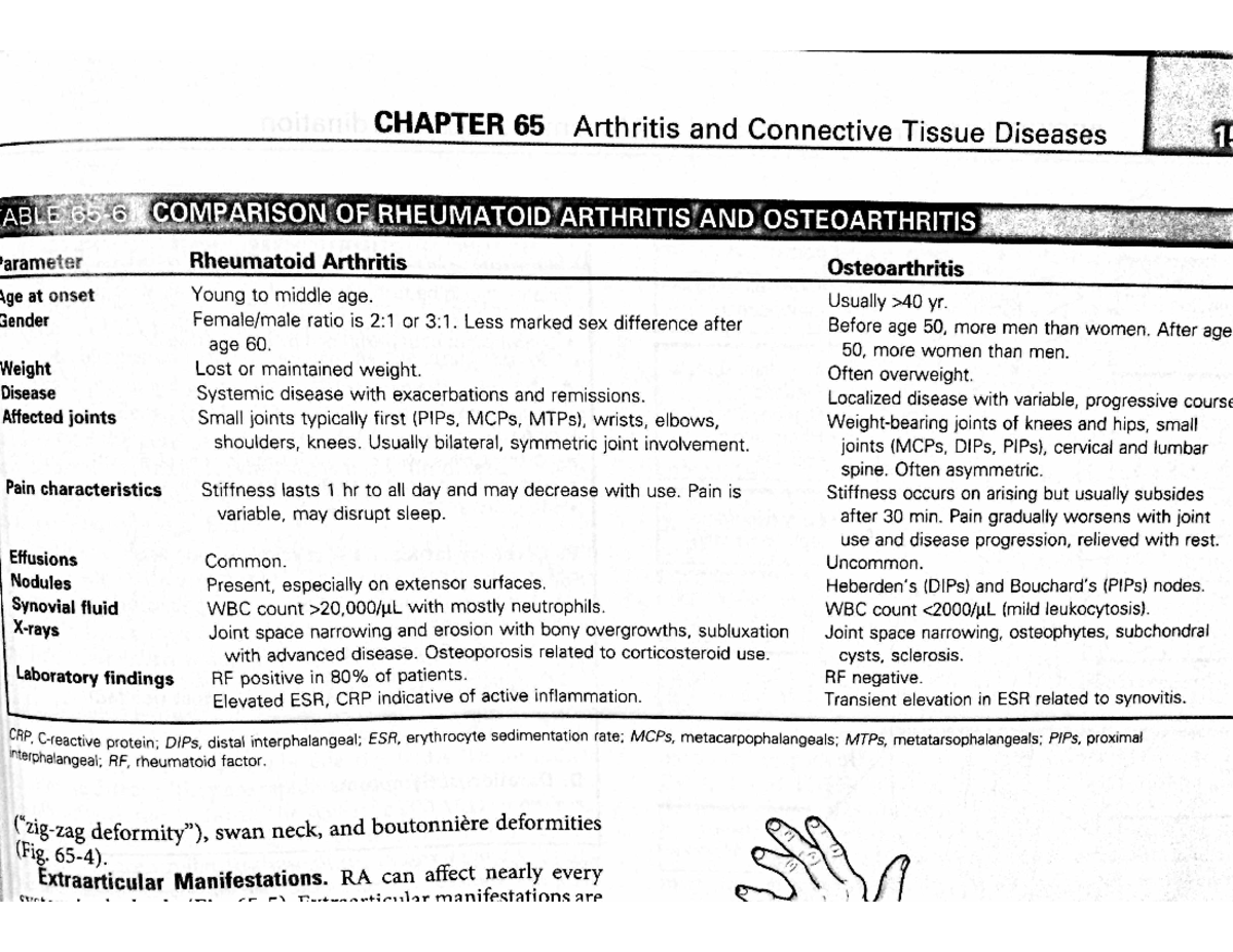 OA vs RA3 nbj, CHAPTER 65 Arthritis and Connective Tissue Diseases