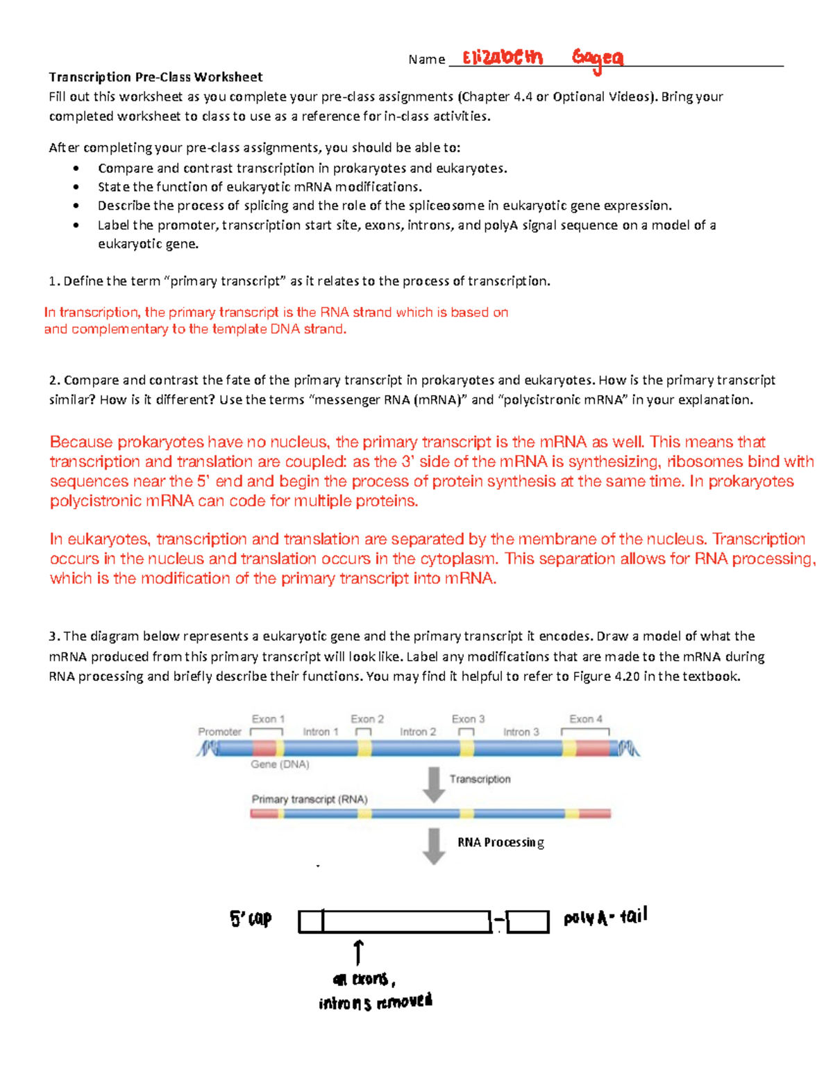 Week+5b+Transcription+v2 - Name ...