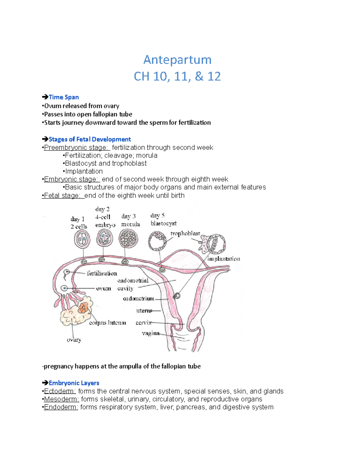 Antepartum CH 10, 11, &12 - Antepartum CH 10, 11, & 12 Time Span Ovum ...