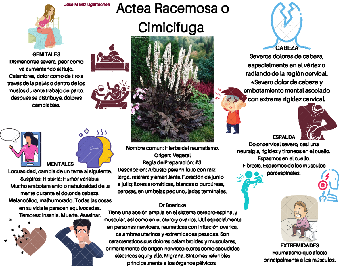 Actea Racemosa o Cimicifuga - MENTALES Locuacidad, cambia de un tema al ...