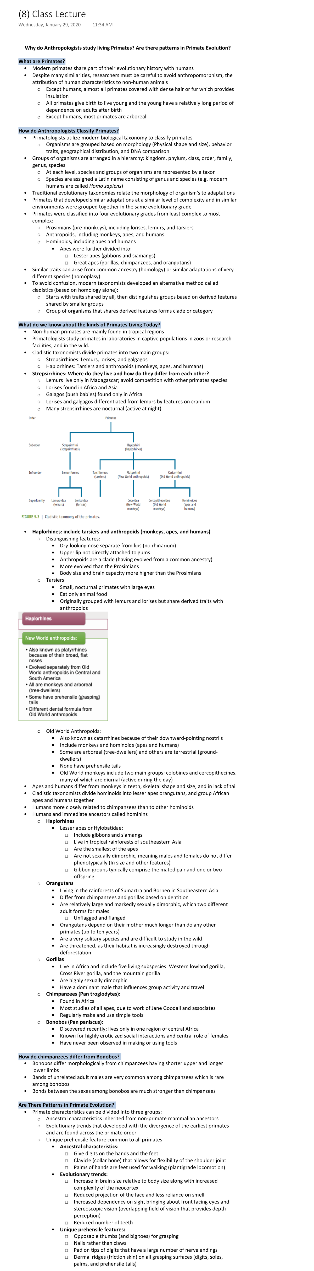 (8) Class Lecture Why do Anthropologists study living primates? Are there patterns in Primate
