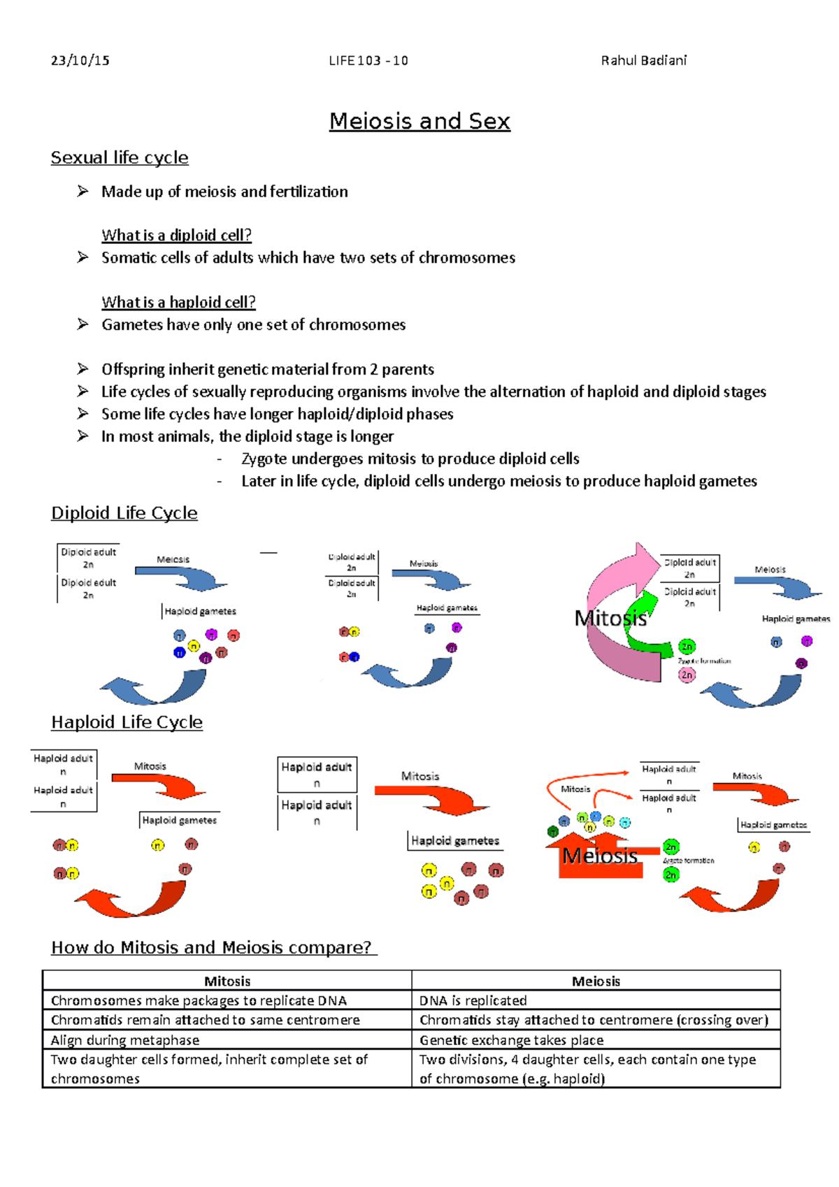 10 Meiosis And Sex Meiosis And Sex Sexual Life Cycle Made Up Of