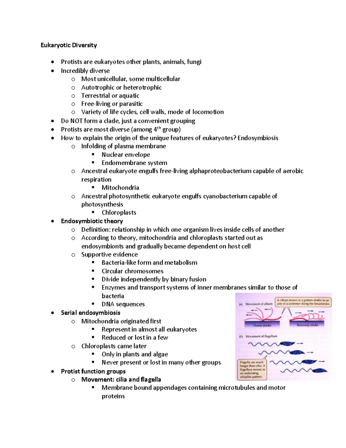 Lecture Notes - Eukaryotic Diversity Protists are eukaryotes other ...