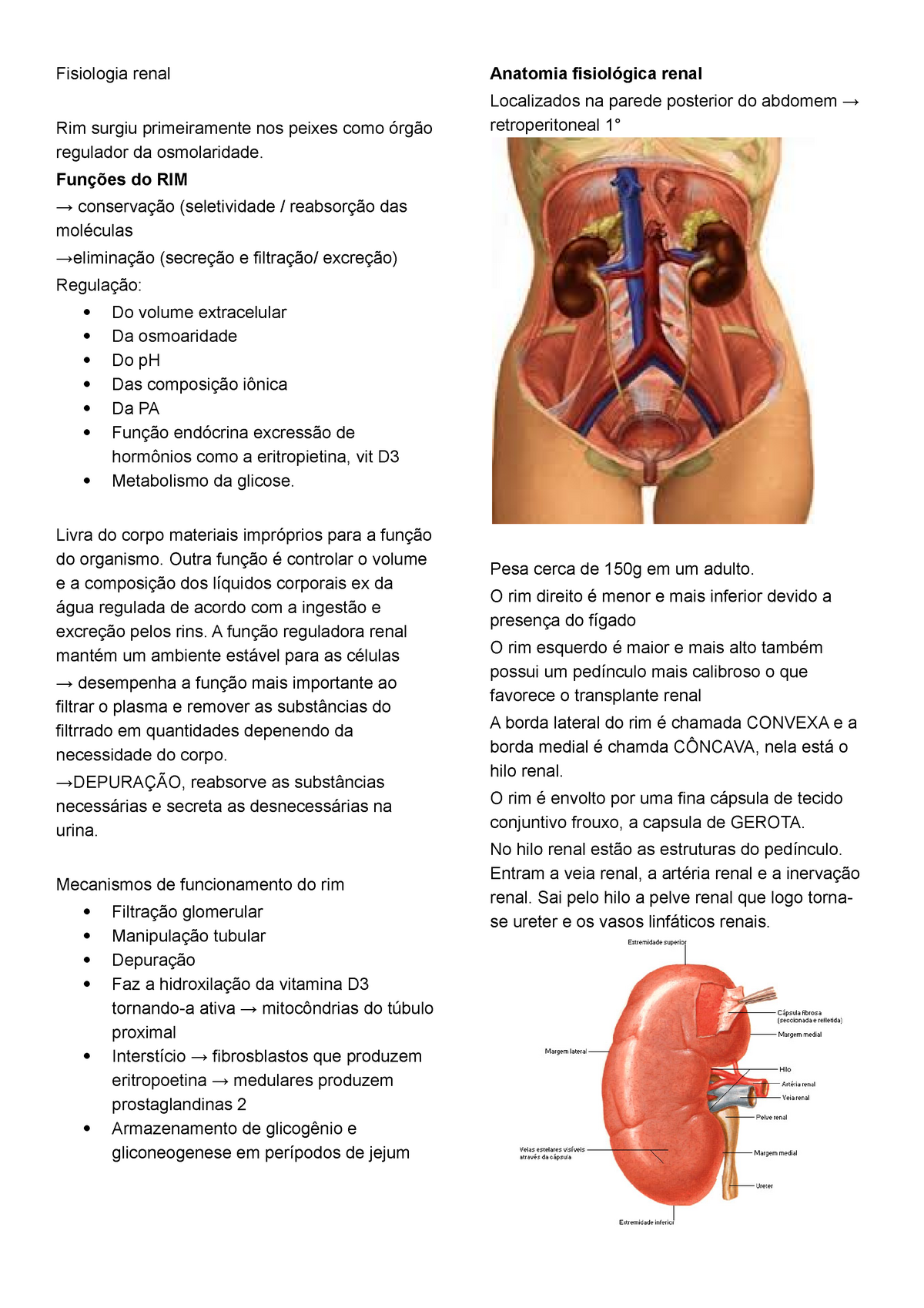 Fisiologia Renal Resumo Guyton E Hall Fisiologia Medica Ed Fisiologia Renal Rim