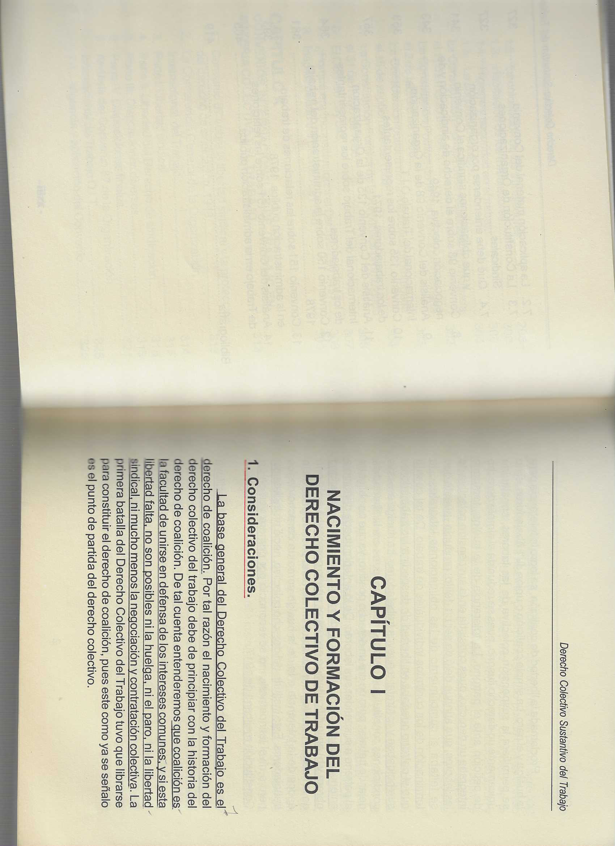 Imprimir Laboral Derecho Colectivo Sustantivo del Trabajo CAPÍTULO I