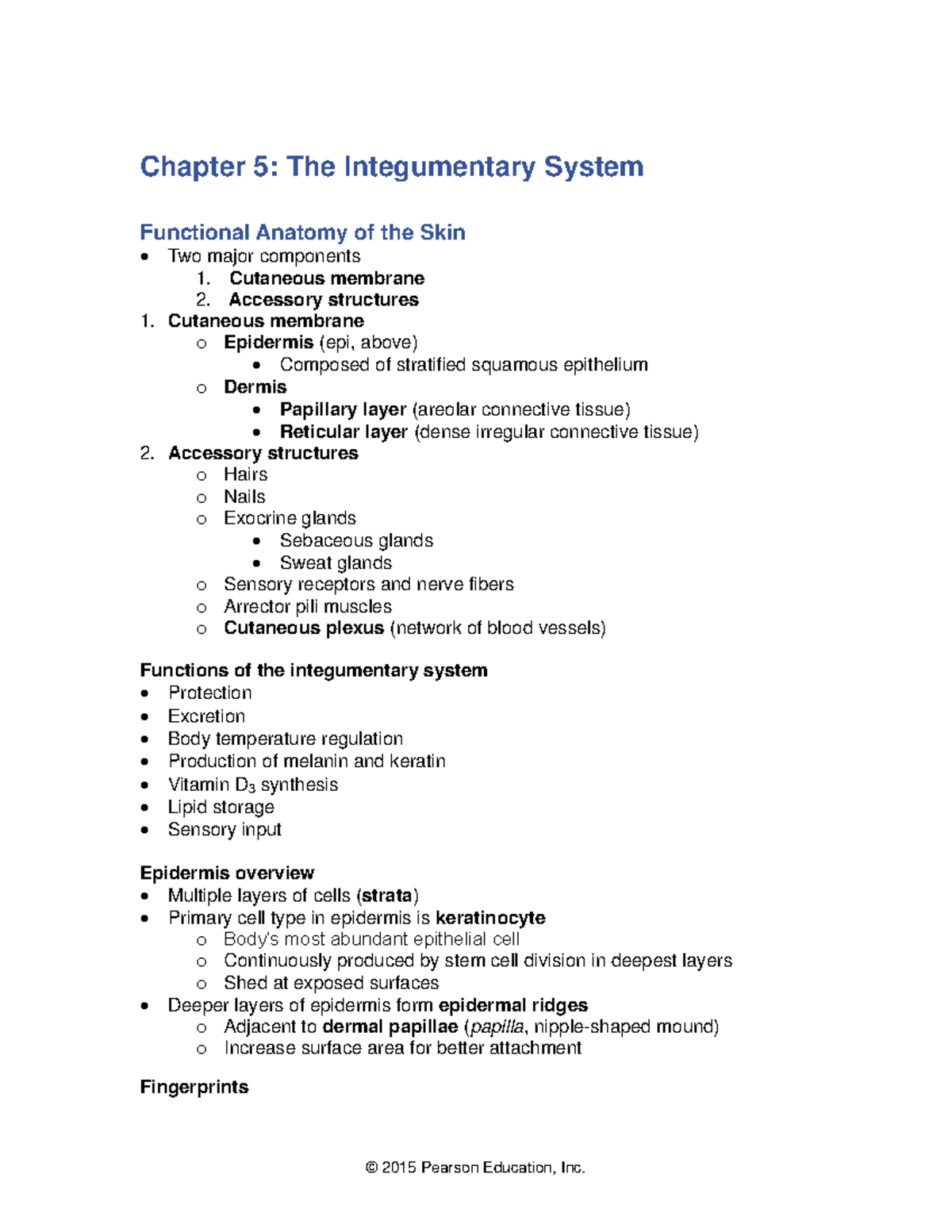 ch-05-review-guide-n-a-chapter-5-the-integumentary-system